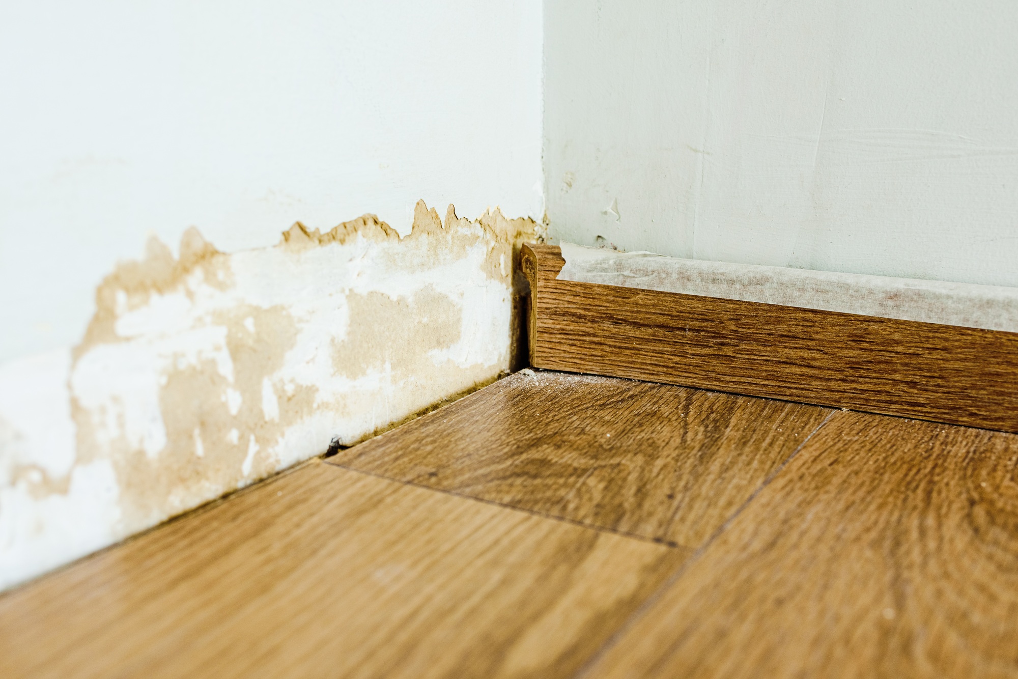 Skirting board on a wall damaged by mold.